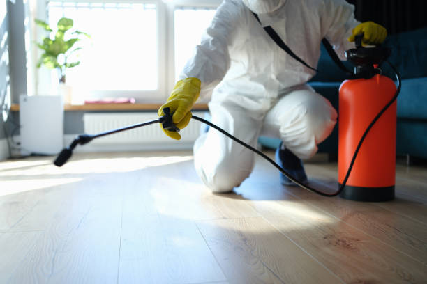 Affordable Infectious Disease Decontamination solutions in Bushnell, FL